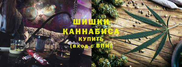 PSILOCYBIN Пересвет