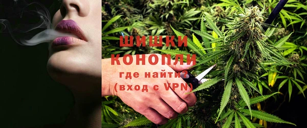 спайс Алзамай