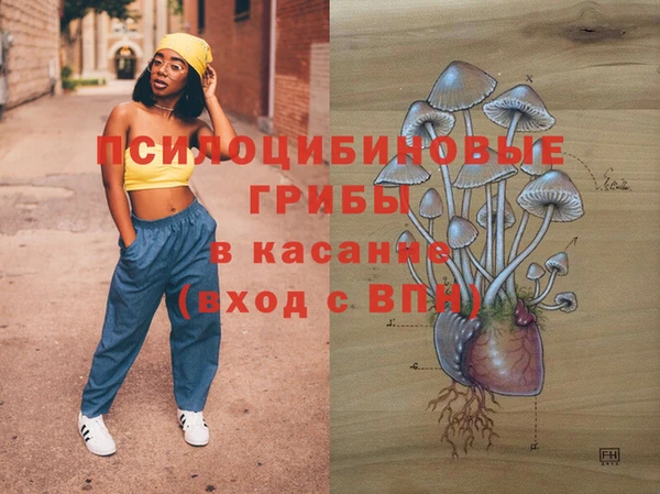 спайс Алзамай