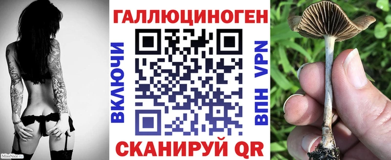 Галлюциногенные грибы мицелий  Лахденпохья 